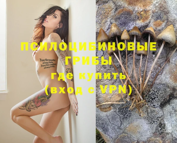 мет Алексеевка
