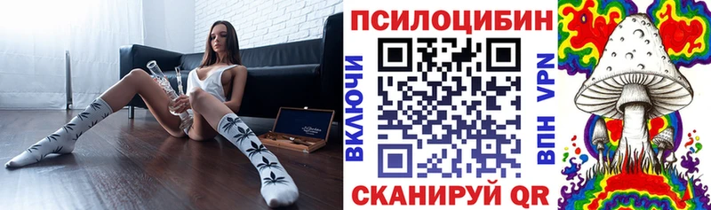 цены наркотик  Безенчук  Псилоцибиновые грибы мицелий 